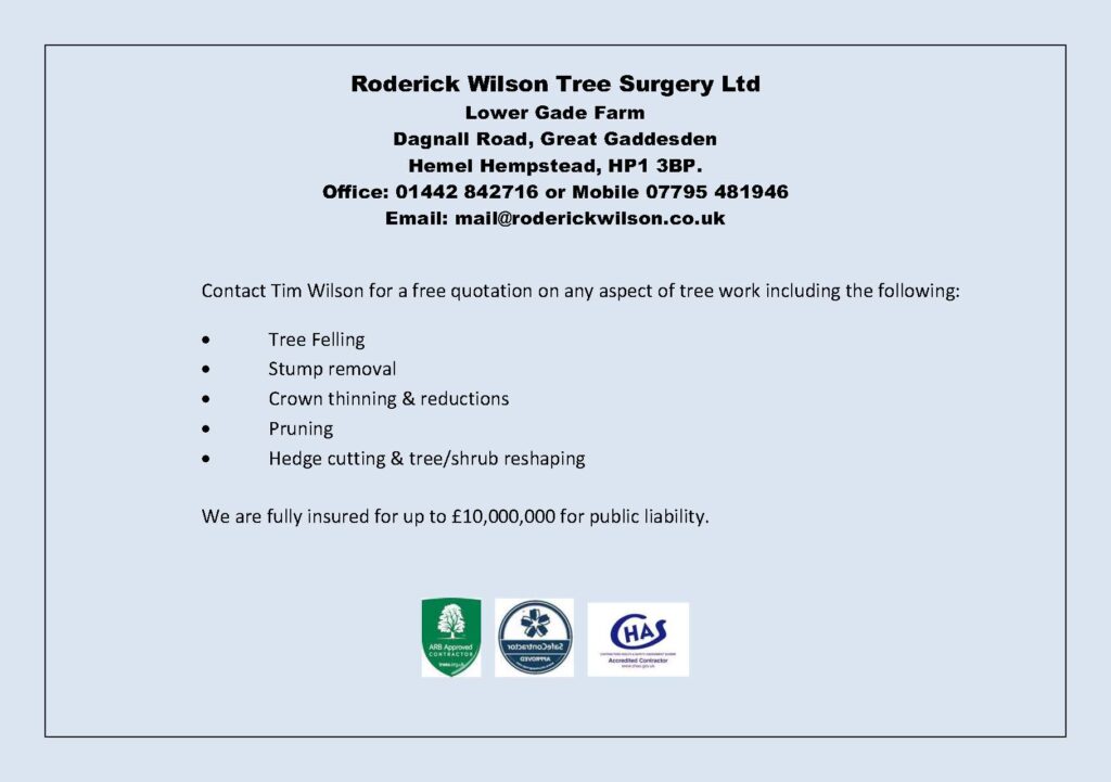 Roderick Wilson Tree Surgery Ad