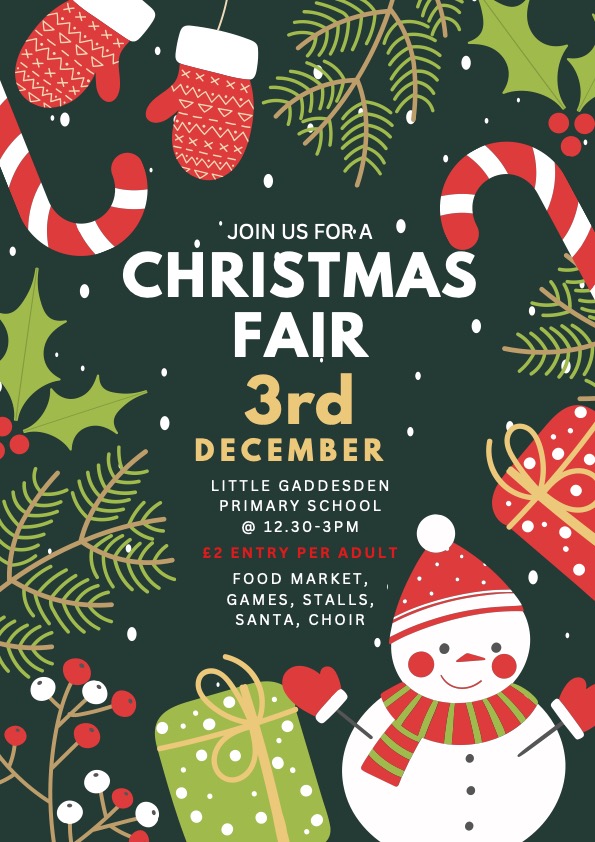 LG School Christmas Fair Poster